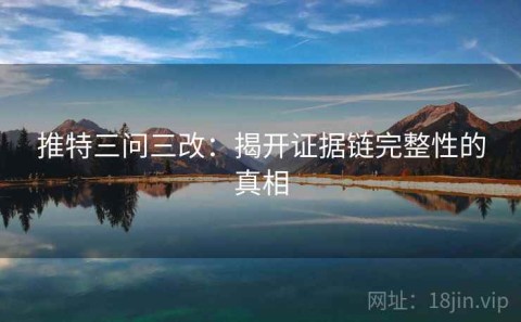 推特三问三改：揭开证据链完整性的真相