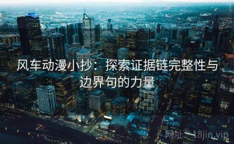 风车动漫小抄：探索证据链完整性与边界句的力量