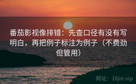 番茄影视像排错：先查口径有没有写明白，再把例子标注为例子（不费劲但管用）