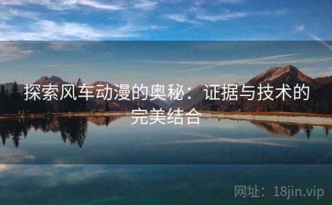 探索风车动漫的奥秘：证据与技术的完美结合