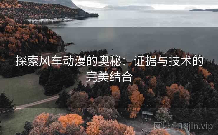 探索风车动漫的奥秘：证据与技术的完美结合