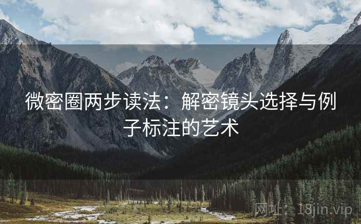 微密圈两步读法：解密镜头选择与例子标注的艺术