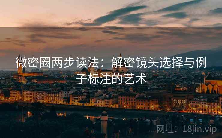 微密圈两步读法：解密镜头选择与例子标注的艺术