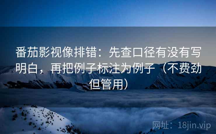 番茄影视像排错：先查口径有没有写明白，再把例子标注为例子（不费劲但管用）