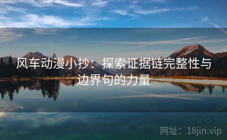风车动漫小抄：探索证据链完整性与边界句的力量