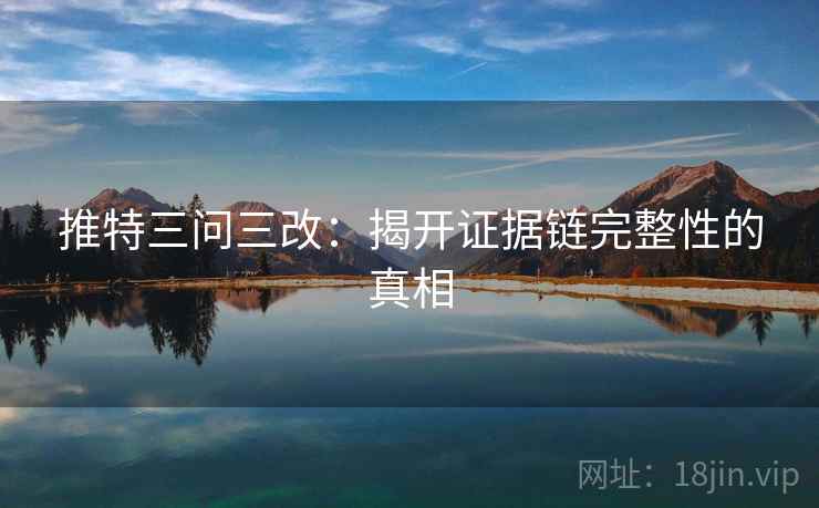 推特三问三改：揭开证据链完整性的真相